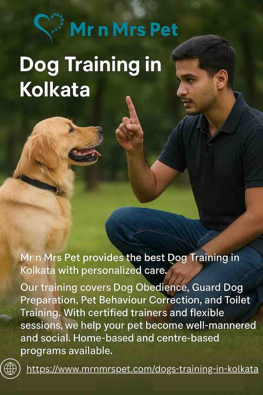 Dog Training in Kolkata